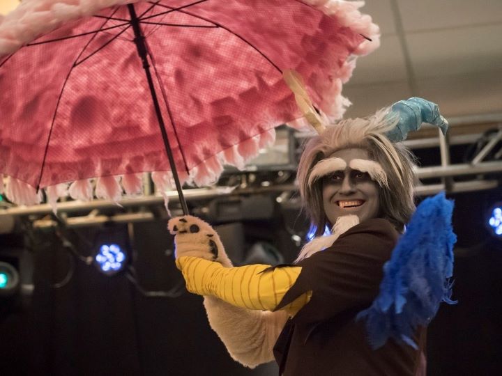 2017 winning cosplay